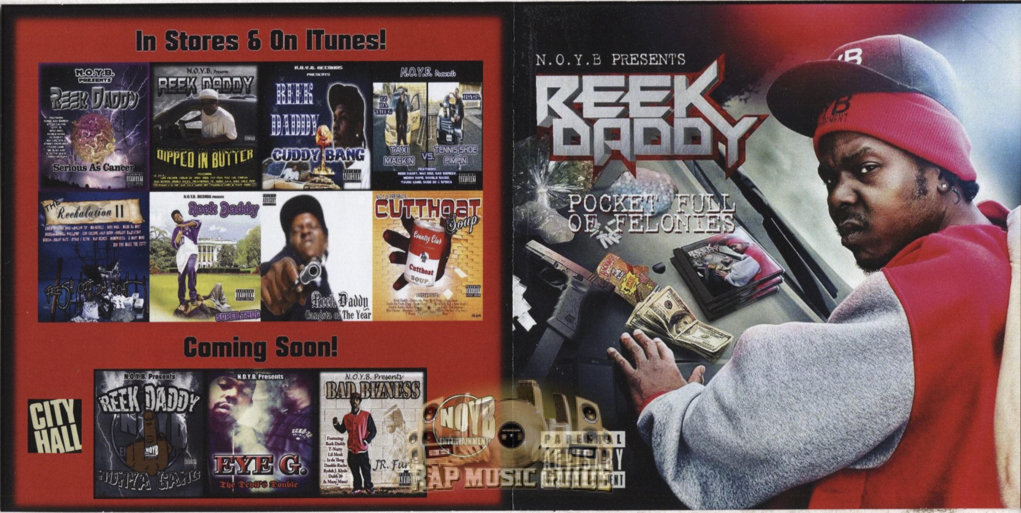 Reek Daddy Pocket Full Of Felonies CD Rap Music Guide